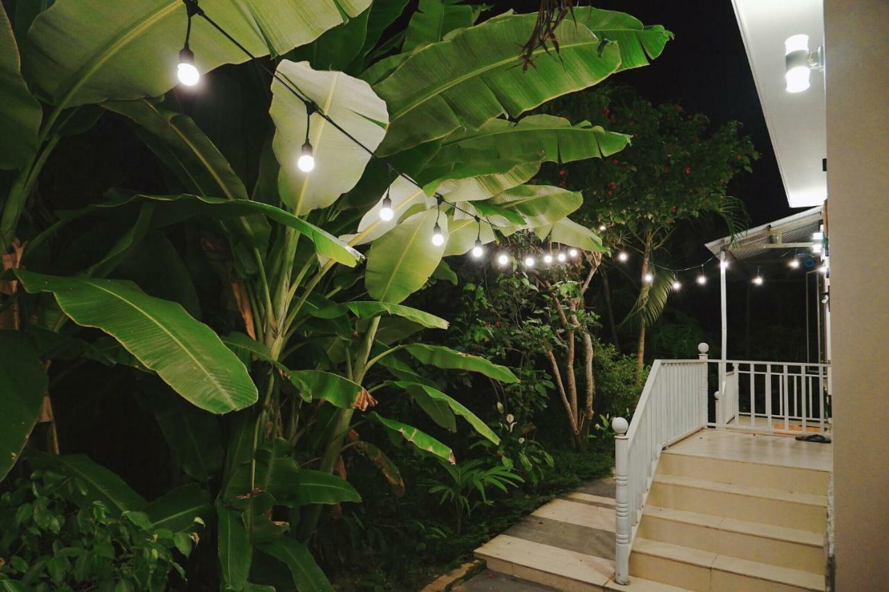 Longan Homestay Hội An Buitenkant foto