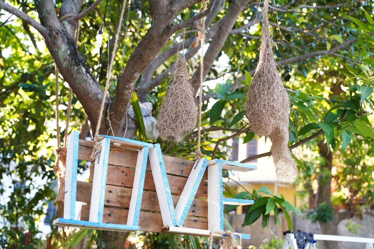 Longan Homestay Hội An Buitenkant foto