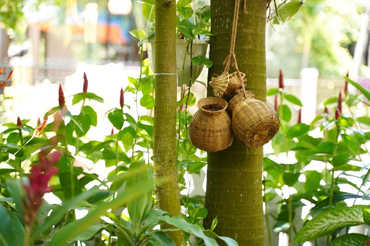 Longan Homestay Hội An Buitenkant foto