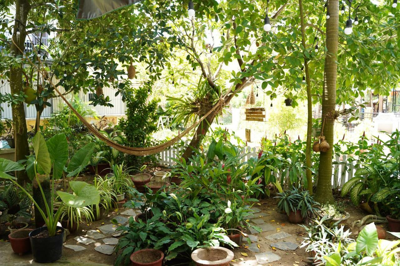 Longan Homestay Hội An Buitenkant foto