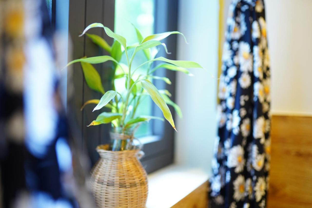 Longan Homestay Hội An Buitenkant foto